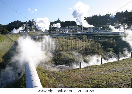 Geothermie Pflanzen, Neuseeland
