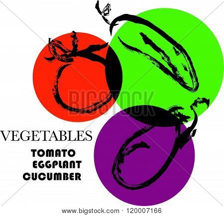 Vector hand drawn vegetables sketch. Artistic and flat food illustration. Good for magazine book or article illustration graphic print design.
