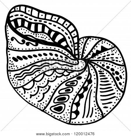 Zentangle Stylized Shell