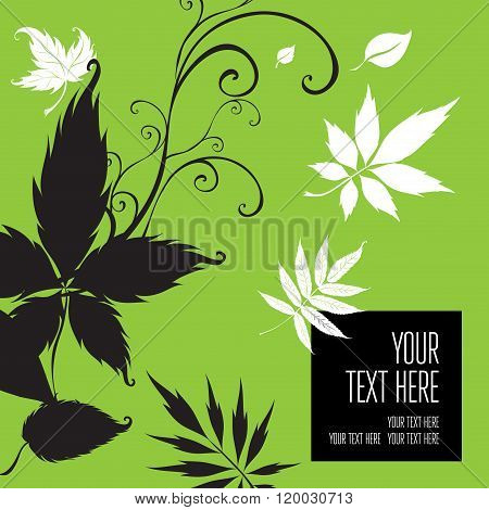 Vector Stylish Green Floral Background