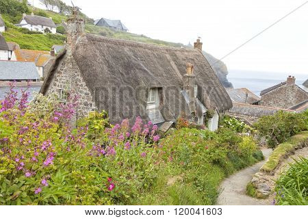 Traditional thatched roof stone cottage in fishing village in Cornwall