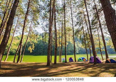 Dome Tents Beside The Lake Among Pine Trees