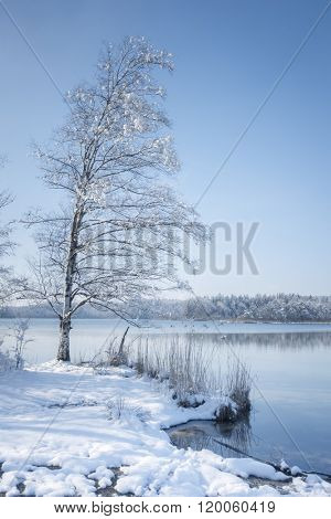 Osterseen winter scenery