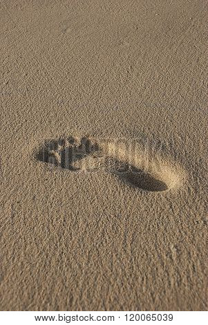 Footprint In Sand