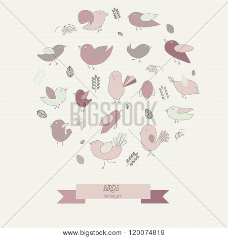 birds