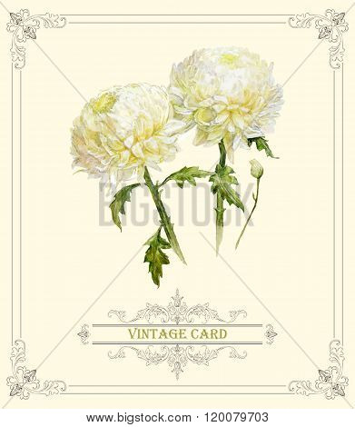 Chrysanthemum card