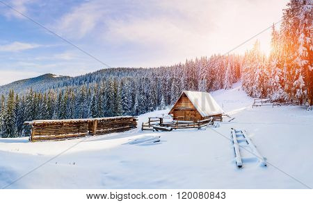 beautiful wooden house in a winter sunny day
