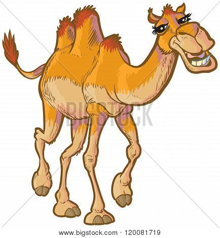 Happy Cartoon Camel Vector Clip Art Illustration
