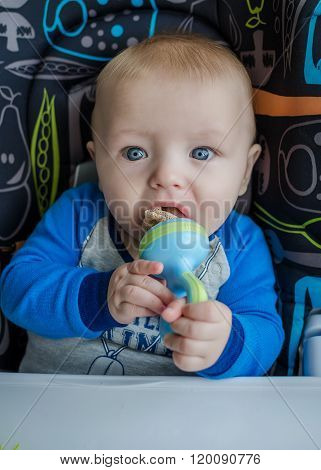 Beautiful Baby Boy With Nibbler