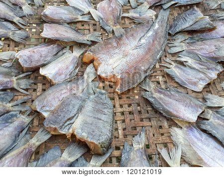 dry striped snakehead fish raw food