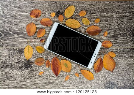 gadget on wood and leaves
