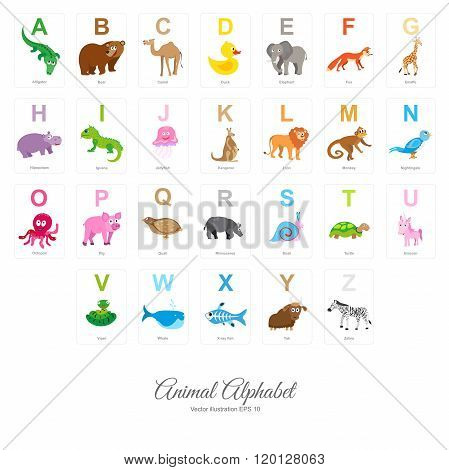 Flat Animal Alphabet
