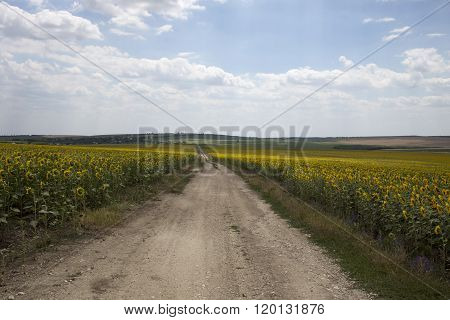 Road leading back home.