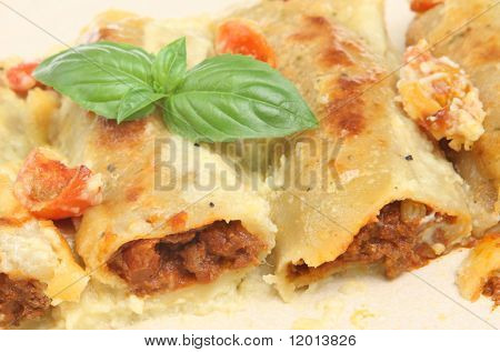 Canneloni กับ ragu เนื้อ