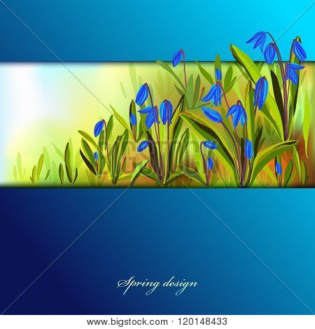 Hand drawn squill blue flowers.