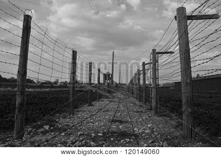 Barb-wire Fence In  Majdanek Concentration Camp