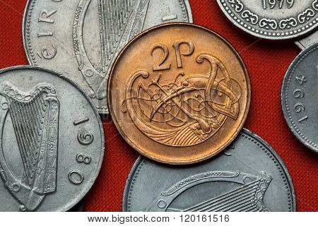 Coins of Ireland. Celtic ornamental bird depicted in the Irish two pence coin.