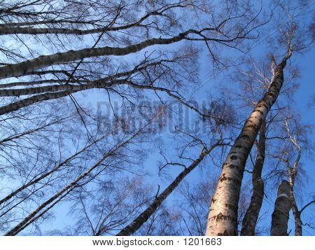 Aspiration pour le ciel