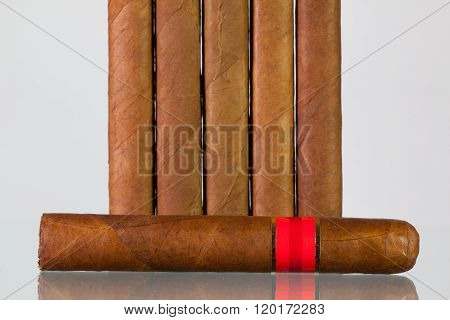 Different cigars on a glass table and white background