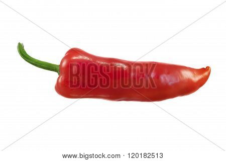 Fresh red bell pepper isolated