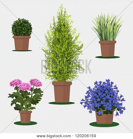 Illustration of flowers in pot.