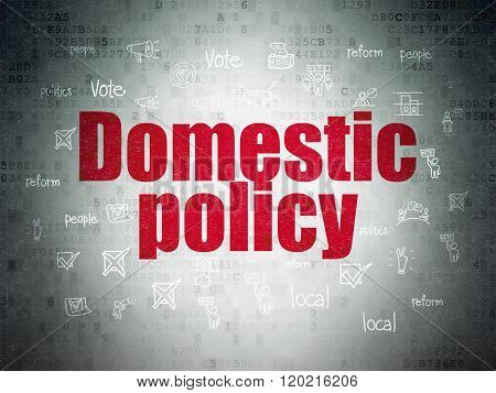 Politics concept: Domestic Policy on Digital Paper background