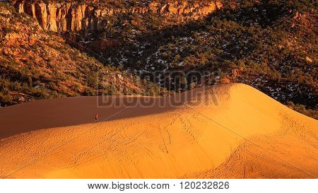 Hiker At Coral Pink Sand Dunes State Park In Utah