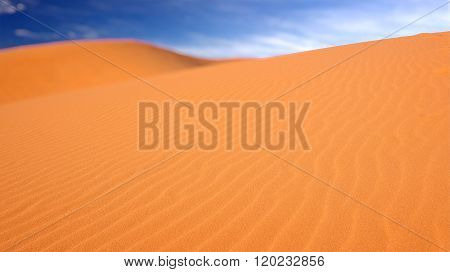 The Pink Sand Dunes At Coral Pink Sand Dunes State Park In Utah