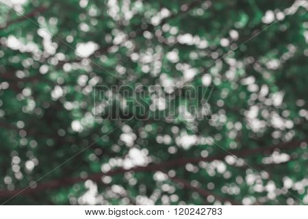 elegant abstract background with bokeh lights and stars