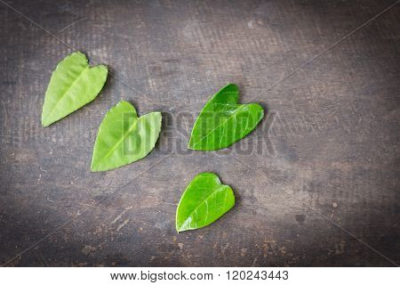 Green leaves on the table.Darke corner of immage