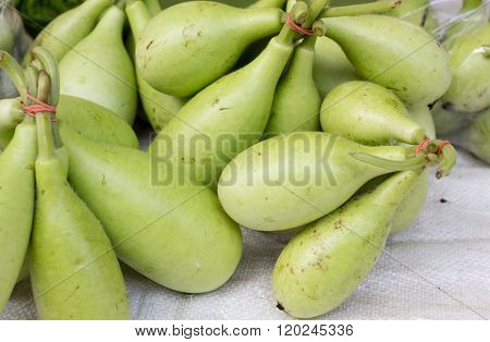 A bunch of gourds sold at the bazaar