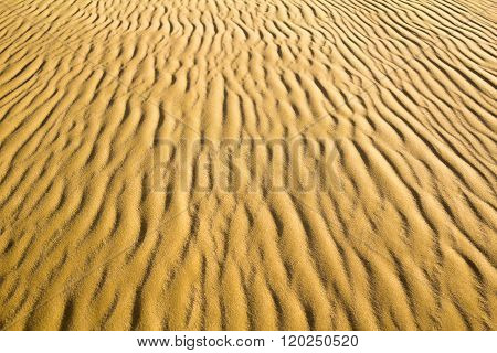 Natural Sand Ripple Texture