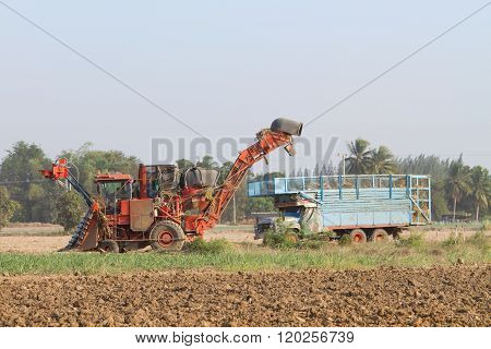 sugarcane harvester and ten-wheel tractor