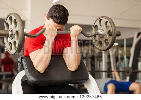 Young Man In A Preacher Bench At The Gym
