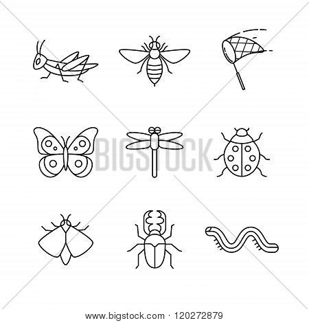 Insects thin line art icons set