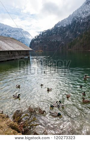 Konigsee lake