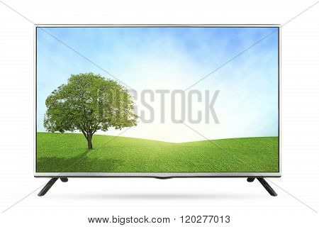 New TV grassland field landscape isolated on white background use clipping path