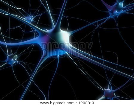 Celular de la neurona 