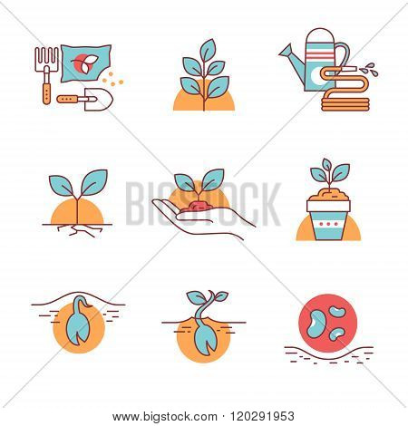 Sprouting seeds and home gardening