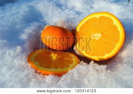 Oranges In The Snow