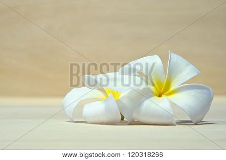 White Plumeria Flower On Wooden Board Background