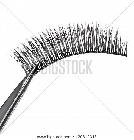 False Eyelashes