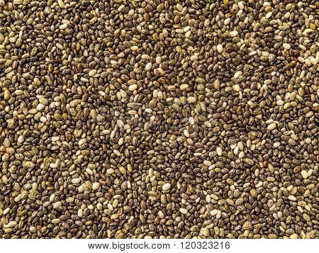 Seeds of Chia Texture