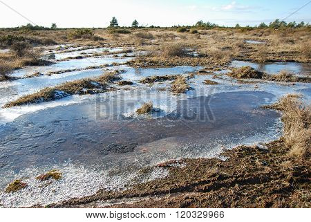 Flooded And Icy Grassland