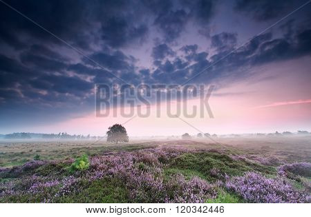 Cloudy Sunrise Over Heathland