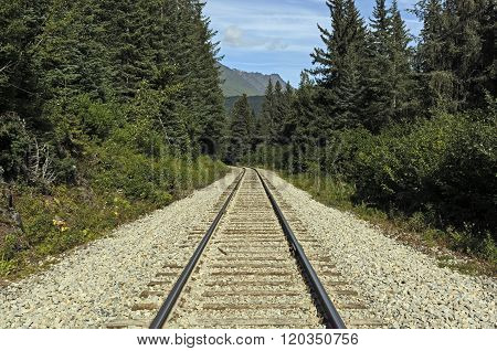 Railroad Tracks In A Remote Wilderness