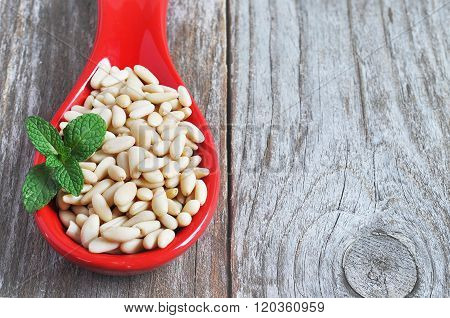 Pine nut close-up shot