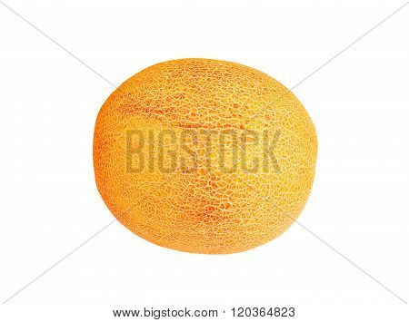 Whole Cantaloup Melon