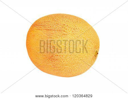 Whole Cantaloup Melon