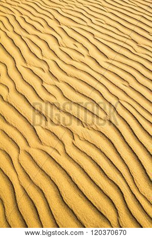 Natural Untouched Golden Sand Ripple Pattern